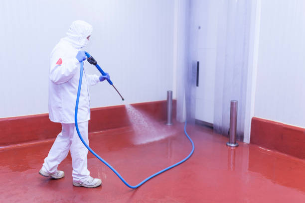 Best Concrete Sealing  in Cassopolis, MI